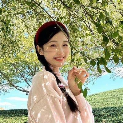 国王的抉择